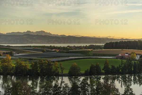 Kressbronn am Lake Constance, district Nitzenweiler, Schleinsee, water reflection, fruit
