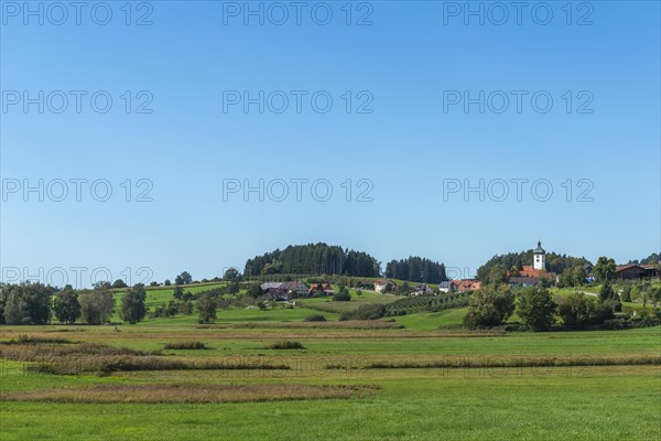 Lindau am Lake Constance, district Unterreitnau, parish church with onion dome, fields, forest,