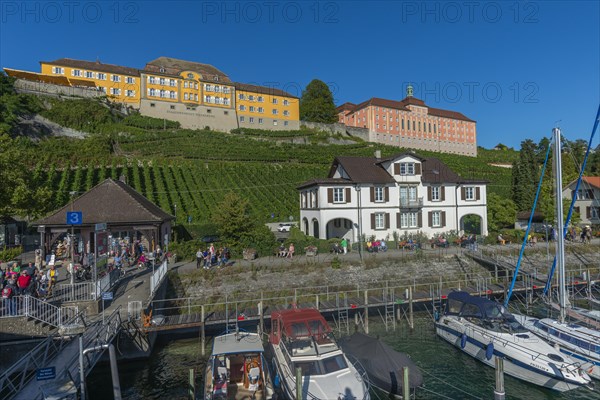 Meersburg on Lake Constance, harbour, yachts, vineyard, landing stage, state winery,