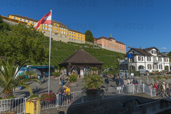 Meersburg on Lake Constance, state winery, tourists, vineyard, landing stage,