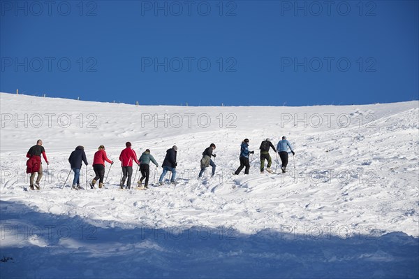 Group of snowshoe hikers, ten people, ascending to the Taubensteinhaus near Taubenstein, winter,