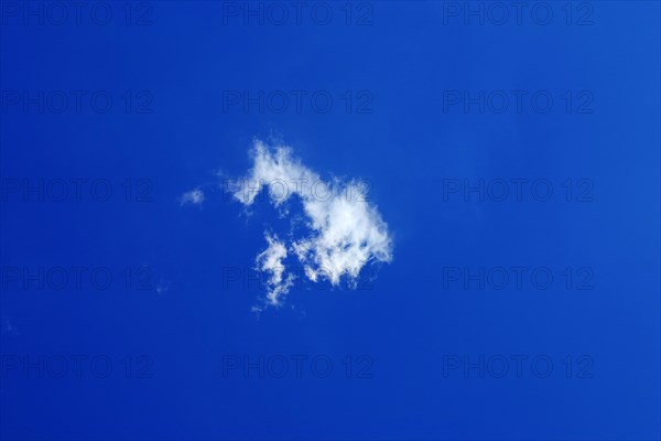 A single young small fluffy white fair weather cloud, Cumulus humilis, just forming in the blue sky