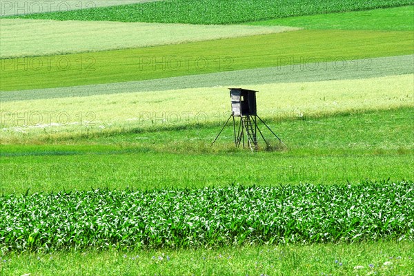 A high seat stands alone in the middle of green meadows, in the Altmühltal, Bavaria, Germany,