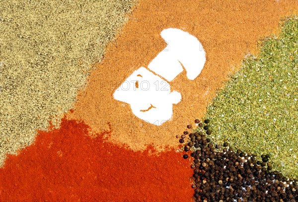 Cartoon of a chef with a chef's hat surrounded by various spices, such as red paprika, pepper and