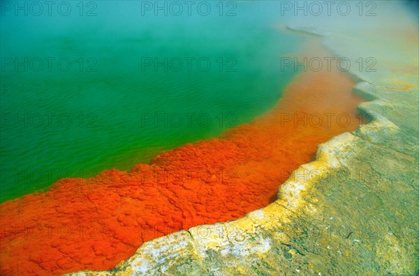 Hot spring with steaming water, red algae in a green hot lake near Rotorua, sulphur deposit, North