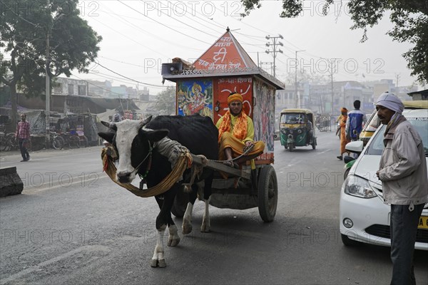 Prophet, Sadhu, on the road, Agra, Uttar Pradesh, India, Asia