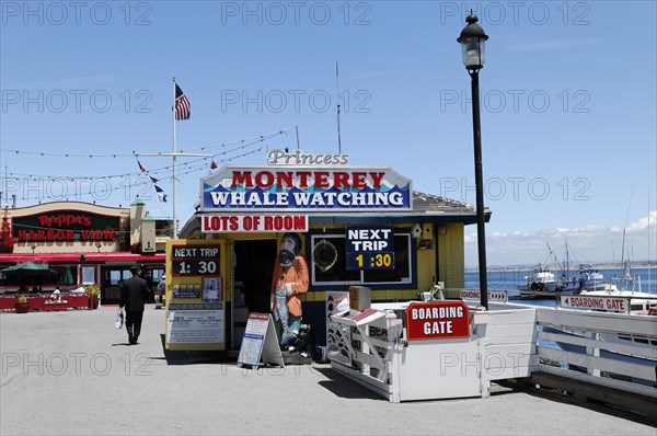 Whale watching, ticket sales, Monterey, Pacific Ocean, California, USA, North America