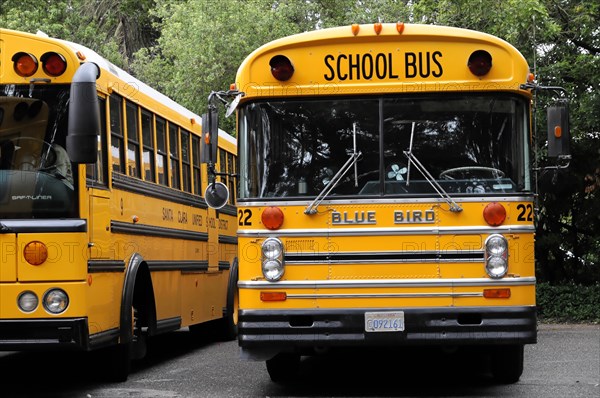School buses at the Japanese Tea Garden, San Francisco, California, USA, North America