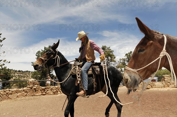 Riders on mules on the South Kaibab Trail hiking trail over the Cedar Ridge ridge, Grand Canyon,
