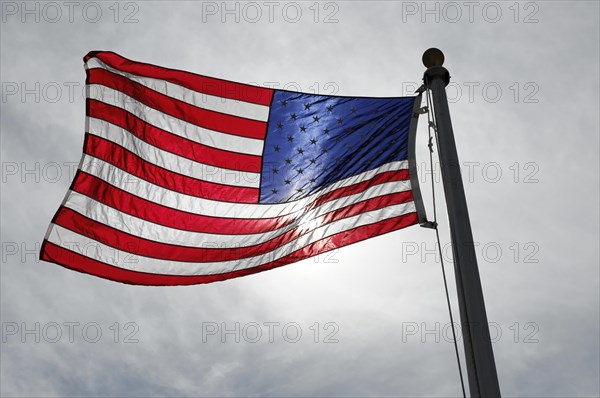 Flag of the USA, Joshua Tree National Park, Palm Desert, Southern California, USA, North America