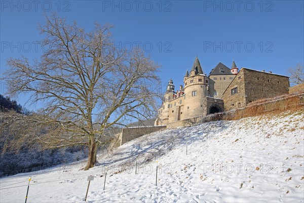 Bürresheim Castle with winter landscape, tree and snow, Mayen, Vulkaneifel, Eifel,