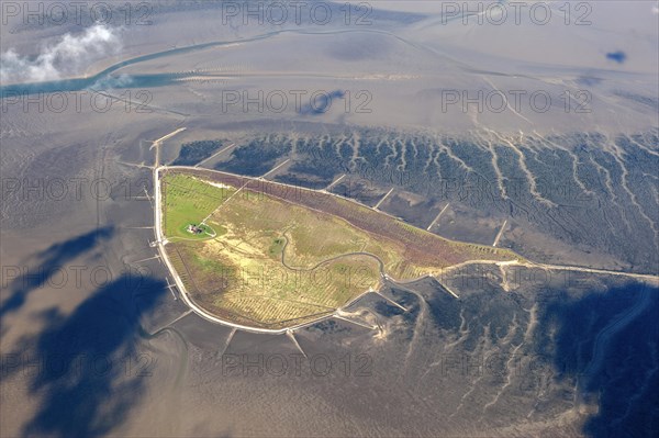 Hallig Südfall, biotope, groyne, tide, low tide, tides, house, Hallig, coastal protection,
