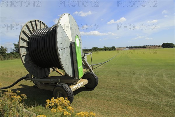 Rainstar E41 irrigation sprayer watering field of grass turf, Alderton, Suffolk, England, UK