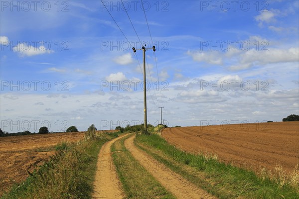 Rural electricity supply lines running across countryside, Alderton, Suffolk, England, United