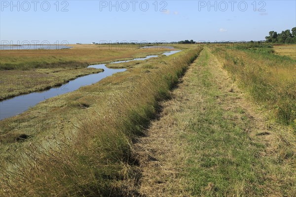 River Ore salt marsh coastal flood defence bank and footpath, looking towards Shingle Street,