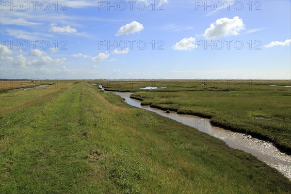 River Ore salt marsh coastal landscape, Hollesley, Suffolk, England, UK