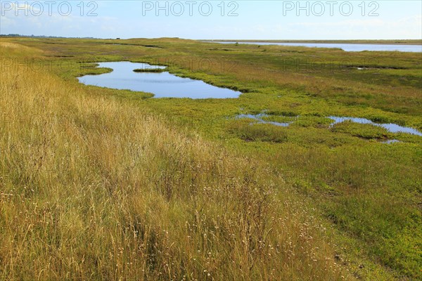 River Ore salt marsh and Orford Ness spit, Simpsons Saltings, Hollesley, Suffolk, England, UK