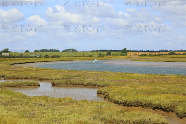 Butley Creek river landscape, Boyton, Suffolk, England, UK