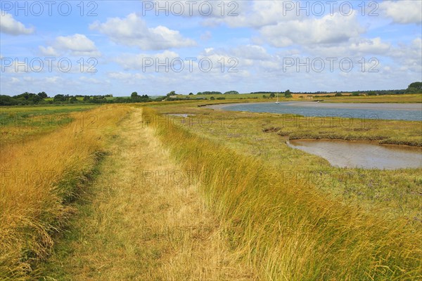 Butley Creek river landscape, Boyton, Suffolk, England, UK footpath on flood defence bank wall