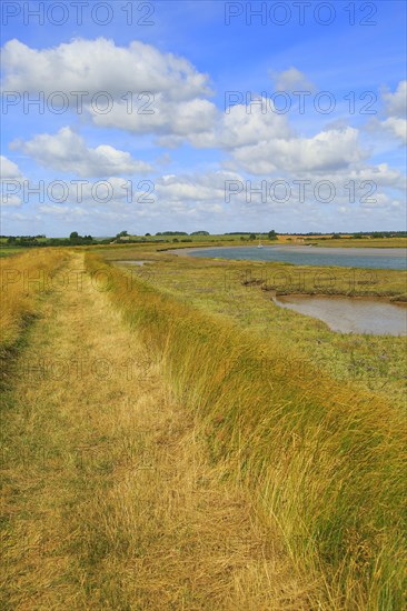 Butley Creek river landscape, Boyton, Suffolk, England, UK footpath on flood defence bank wall
