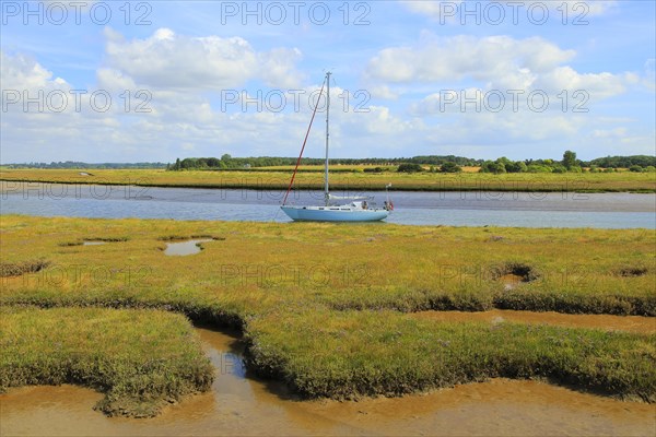 Butley Creek river landscape, Boyton, Suffolk, England, UK yacht at moorings