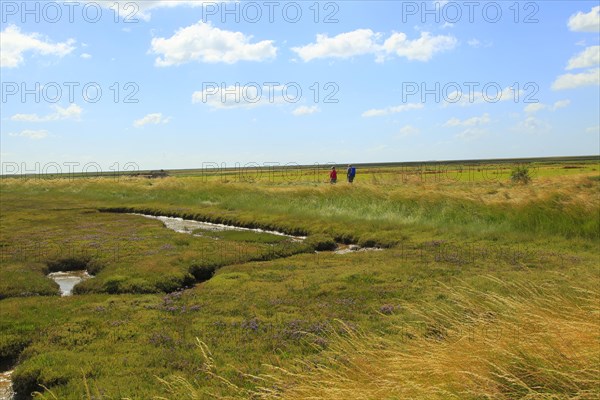 Butley Creek river landscape, Boyton, Suffolk, England, UK people walking footpath on flood defence