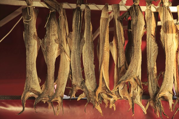 Dried cod hanging in fish market Torget market square area of Vagen harbour, Bergen, Norway, Europe