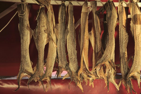Dried cod hanging in fish market Torget market square area of Vagen harbour, Bergen, Norway, Europe