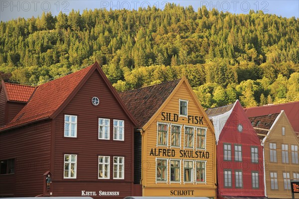 Historic Hanseatic League wooden buildings Bryggen area, Bergen, Norway UNESCO World Cultural