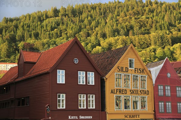 Historic Hanseatic League wooden buildings Bryggen area, Bergen, Norway UNESCO World Cultural