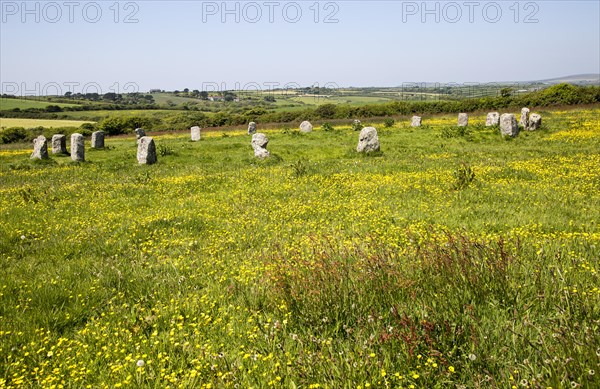 The Merry Maidens prehistoric stone circle, St Buryan, Cornwall, England, UK