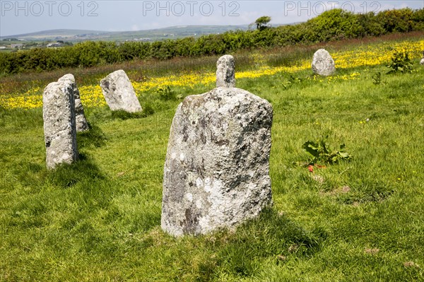 The Merry Maidens prehistoric stone circle, St Buryan, Cornwall, England, UK