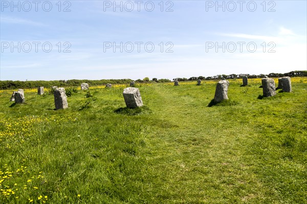 The Merry Maidens prehistoric stone circle, St Buryan, Cornwall, England, UK