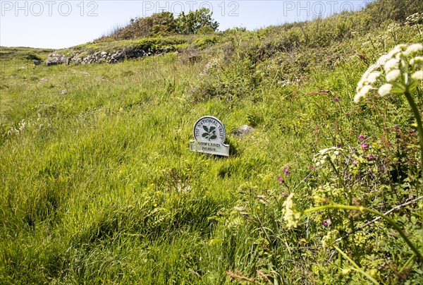 National Trust sign, Lowland Point, Lizard Peninsula, Cornwall, England, UK