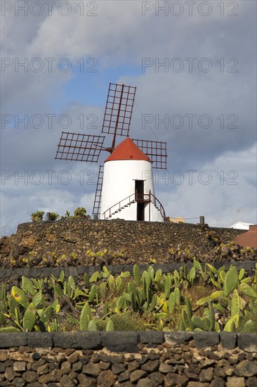 Windmill at Jardin de Cactus designed by César Manrique, Guatiza, Lanzarote, Canary Islands, Spain,