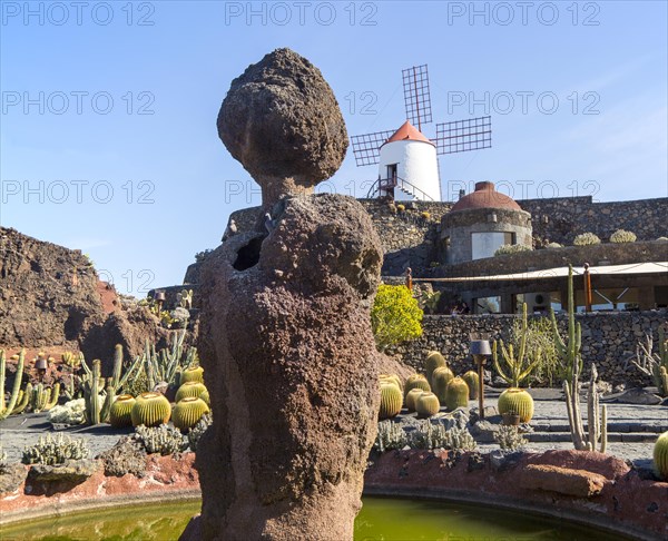 Cactus plants and windmill Jardin de Cactus designed by César Manrique, Guatiza, Lanzarote, Canary