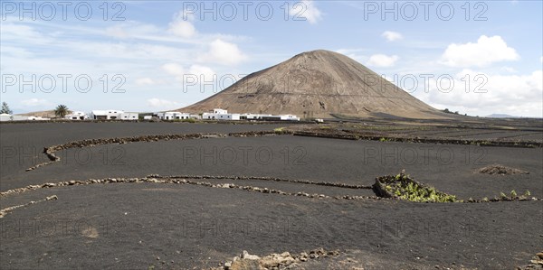 Volcano cone and black volcanic soil farmland, near Tinajo, Lanzarote, Canary Islands, Spain,