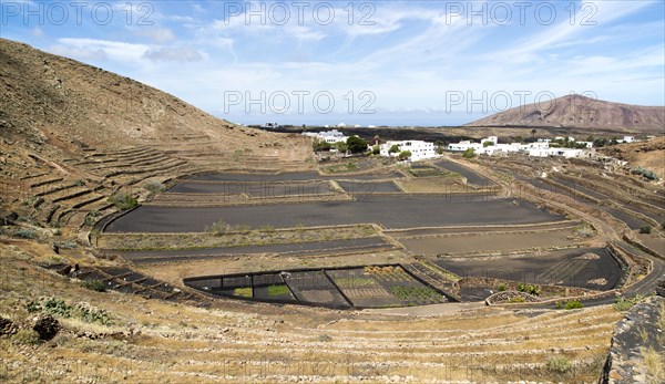 Volcano crater and black volcanic soil farmland, near Tinajo, Lanzarote, Canary Islands, Spain,
