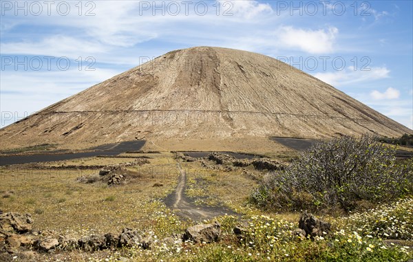 Volcano cone and black volcanic soil farmland, near Tinajo, Lanzarote, Canary Islands, Spain,