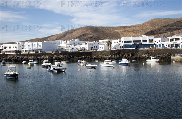 Harbour and white houses in the fishing village of Orzola, Lanzarote, Canary Islands, Spain, Europe