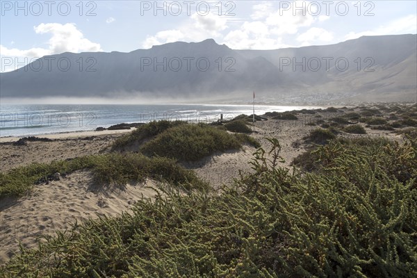 Atlantic Ocean coast beach and waves, Caleta de Famara, Lanzarote, Canary islands, Spain, Europe