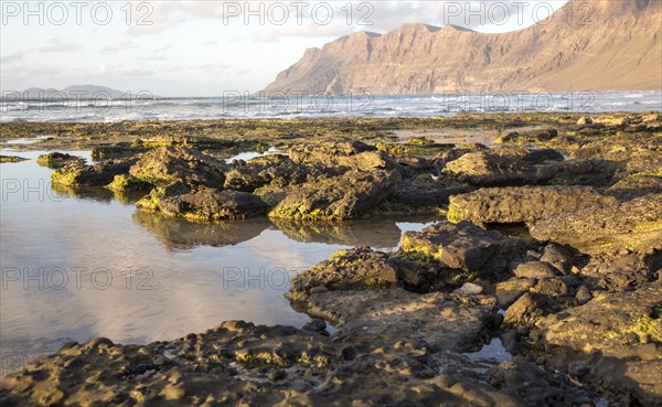 Late afternoon light on beach and cliffs La Caleta de Famara, Lanzarote, Canary islands, Spain,