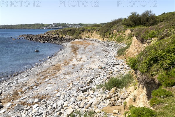 Coastal scenery, Pedn-myin, Lowland Point, Coverack, Lizard Peninsula, Cornwall, England, UK
