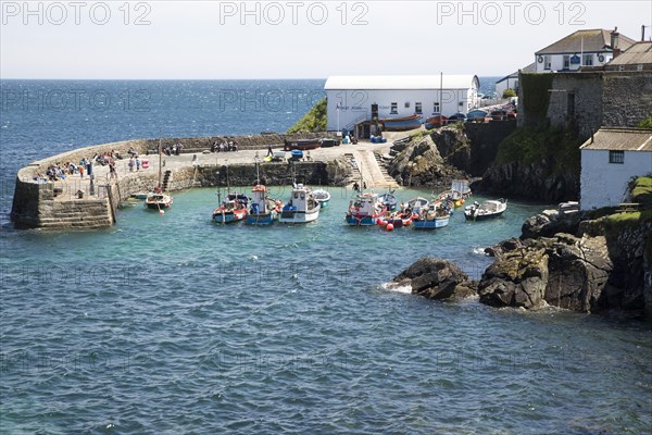 Fishing boats in the harbour at Coverack, Lizard Peninsula, Cornwall, England, UK