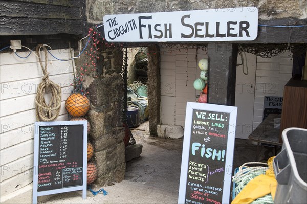 The Fish Seller shop sign, Cadgwith, Lizard peninsula, Cornwall, England, UK