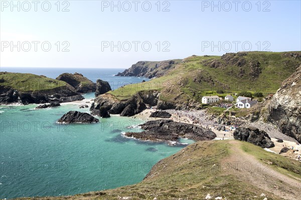 Coastal scenery, Kynance Cove, Lizard peninsula, Cornwall, England, UK
