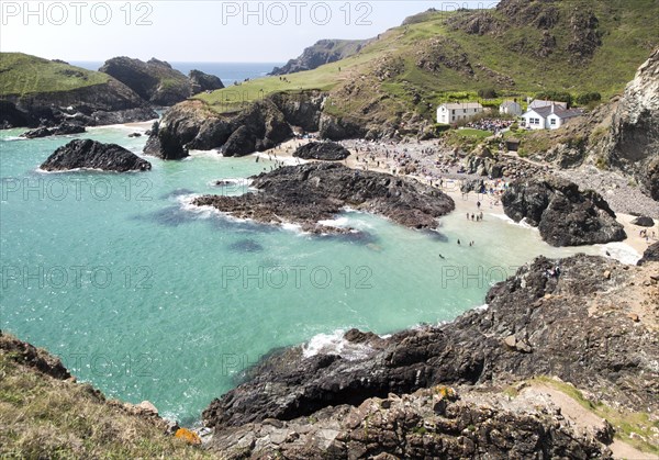 Coastal scenery, Kynance Cove, Lizard peninsula, Cornwall, England, UK