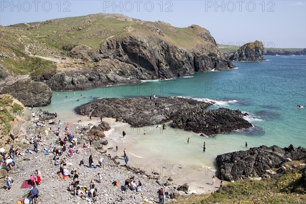 Coastal scenery, Kynance Cove, Lizard peninsula, Cornwall, England, UK