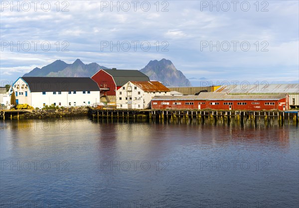 Fish processing buildings at Svolvaer, Lofoten Islands, Nordland, Norway, Europe