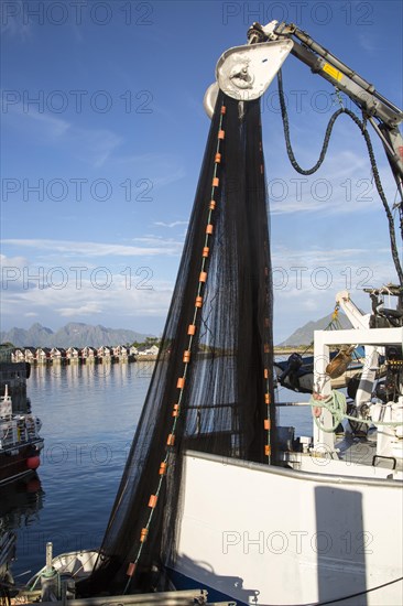 Fishing boats in the harbour at Svolvaer, Lofoten Islands, Nordland, Norway, Europe